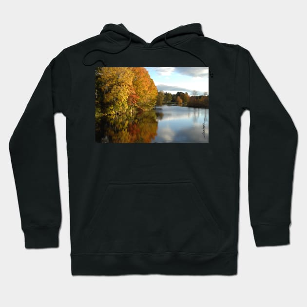 A Touch of Autumn Hoodie by srwdesign